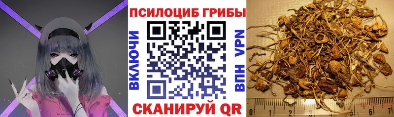 Галлюциногенные грибы прущие грибы  Купить где  Кохма 