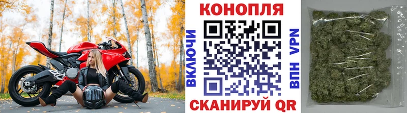Купить где  Кохма  Шишки марихуана ГИДРОПОН 